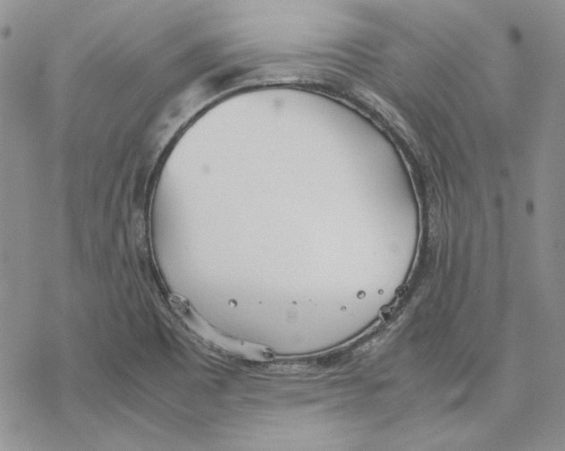 X0000077281465200611171550