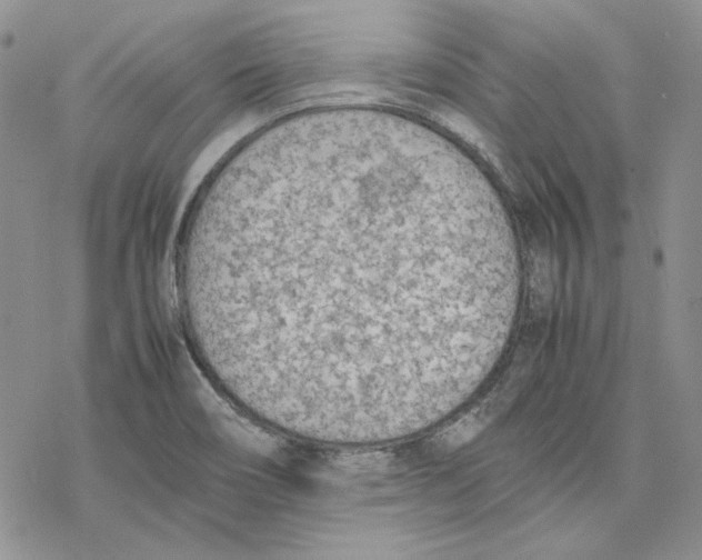 X0000077281466200611171550