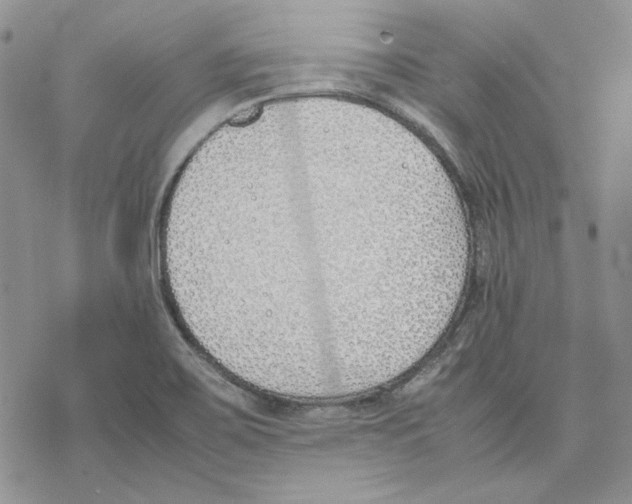 X0000077281467200611171550