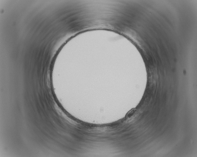 X0000077281468200611171550