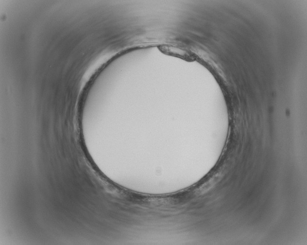 X0000077281469200611171550