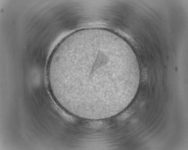 X0000077281470200611171550