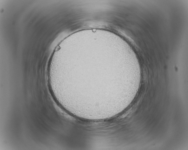 X0000077281471200611171550