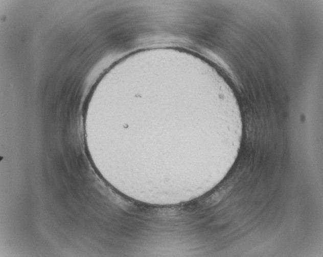 X0000077281472200611171550