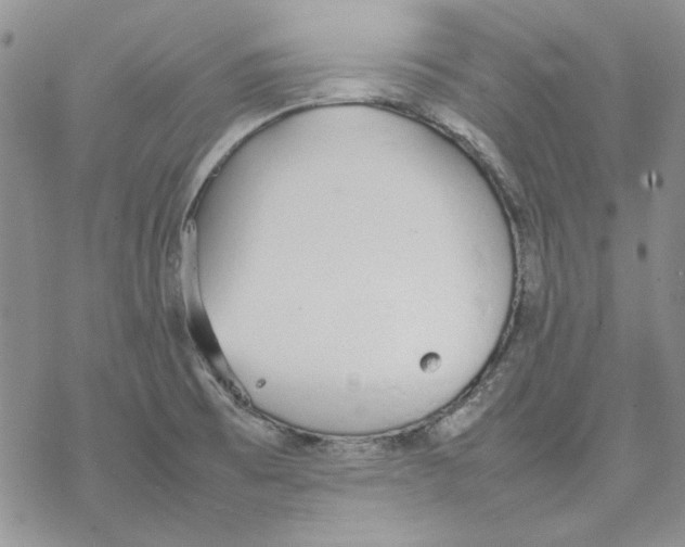 X0000077281473200611171550