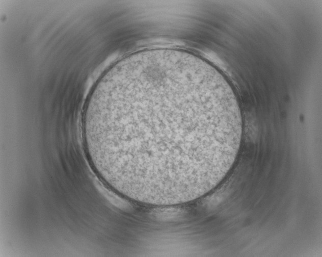 X0000077281474200611171550