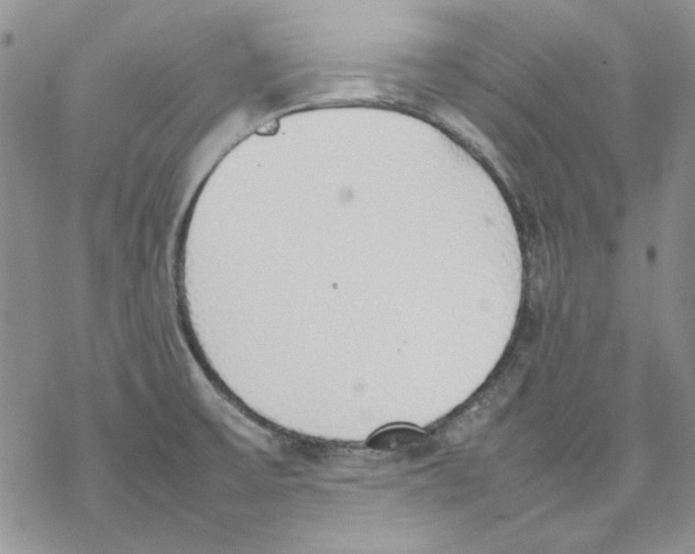 X0000077281475200611171550