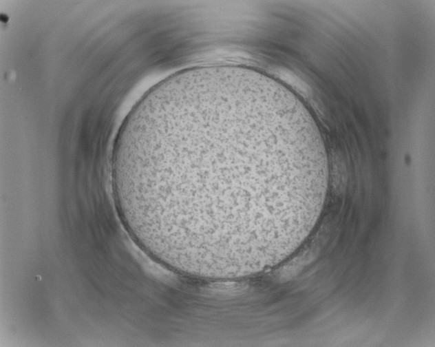 X0000077281478200611171550