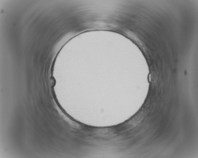 X0000077281479200611171550