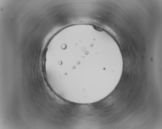 X0000077281480200611171550