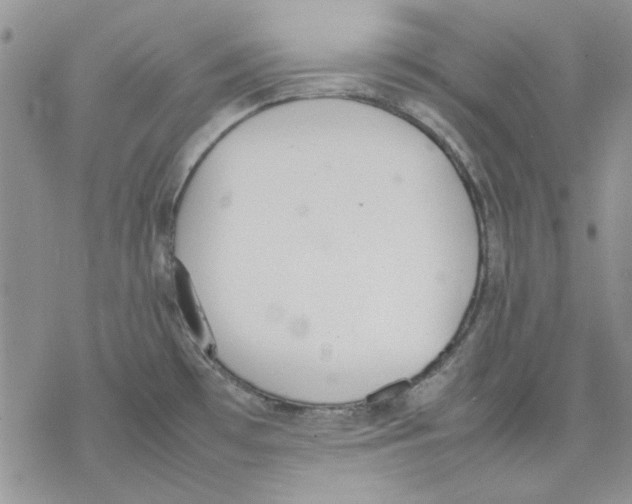 X0000077281481200611171550