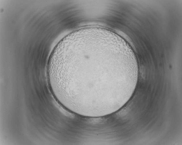 X0000077281482200611171550