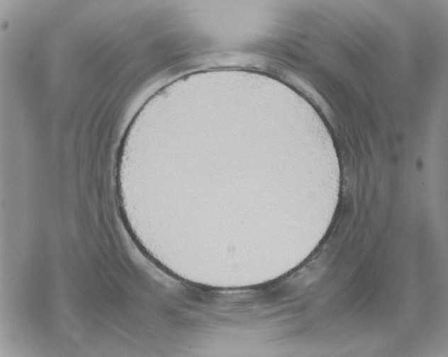 X0000077281483200611171549