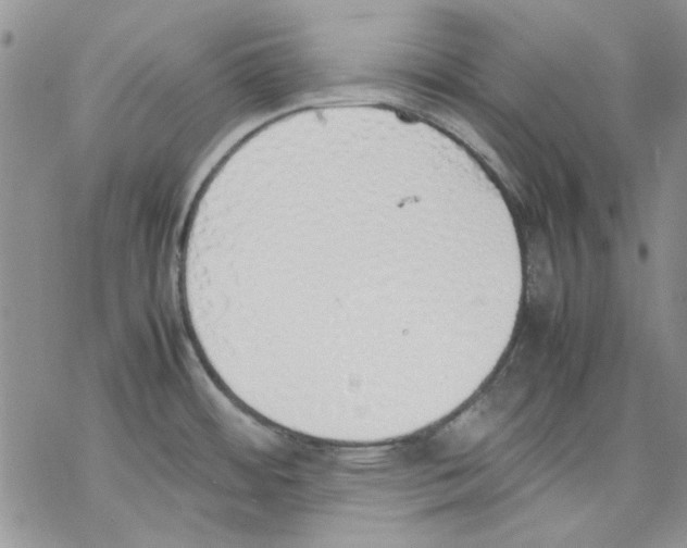 X0000077281484200611171549