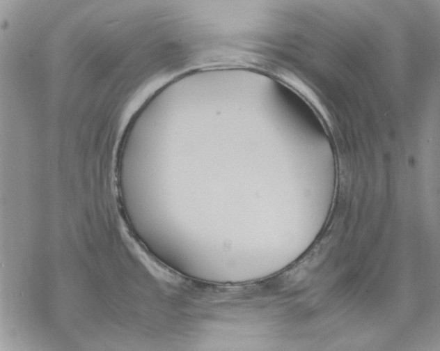 X0000077281485200611171549