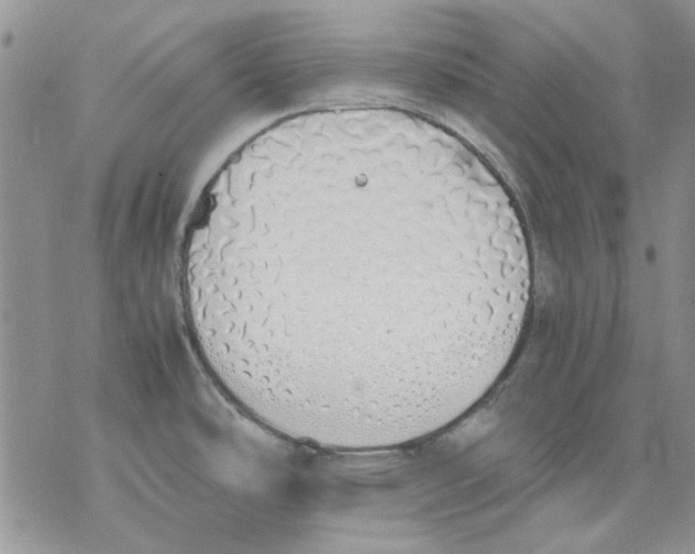 X0000077281486200611171549