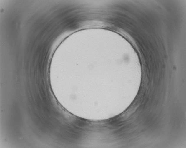 X0000077281488200611171549