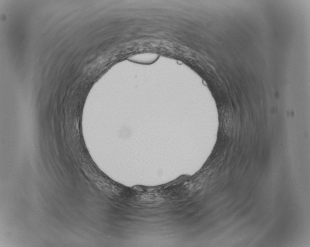 X0000077281489200611171549