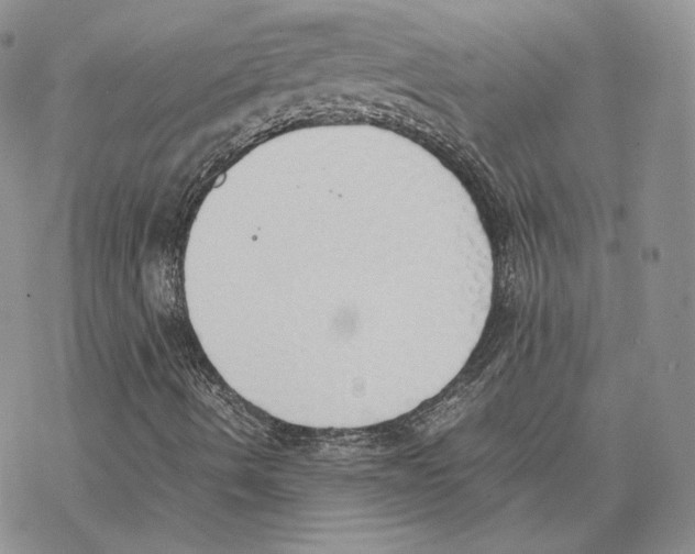 X0000077281490200611171549