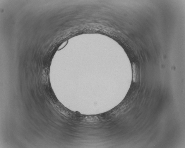 X0000077281491200611171549