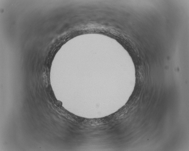 X0000077281493200611171549