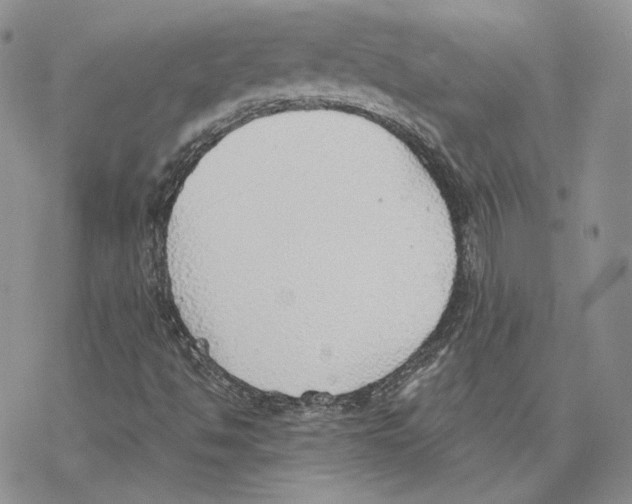 X0000077281494200611171549