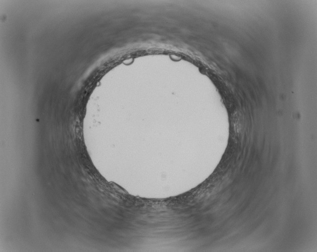 X0000077281495200611171549