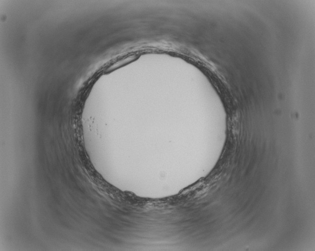 X0000077281496200611171549