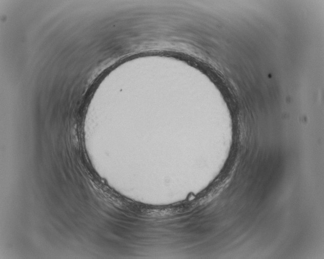 X0000077281497200611171549