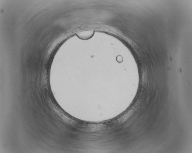 X0000077281498200611171549