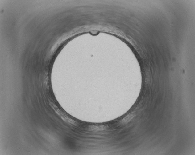 X0000077281499200611171549