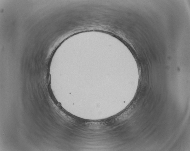 X0000077281500200611171549