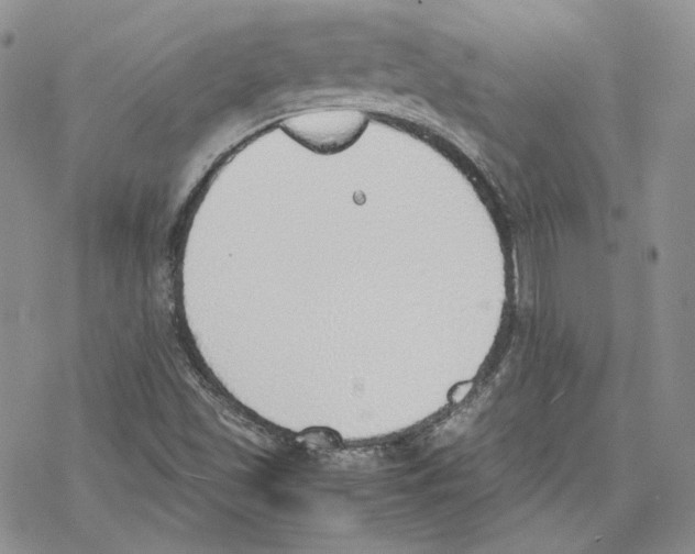 X0000077281501200611171549