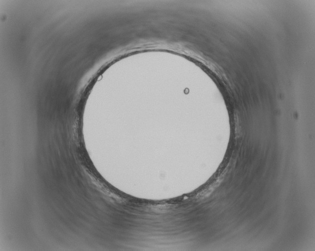 X0000077281502200611171549