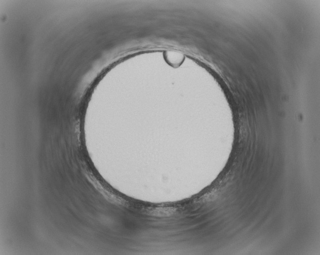 X0000077281503200611171549