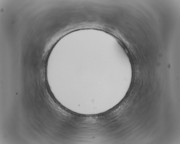 X0000077281504200611171549