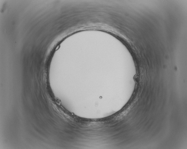 X0000077281506200611171549