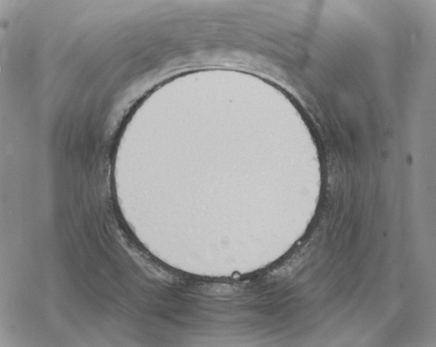 X0000077281507200611171549