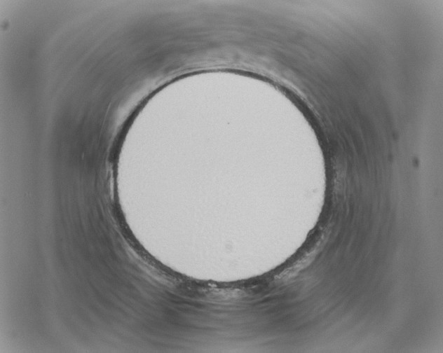 X0000077281509200611171549