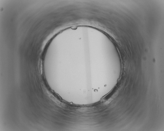 X0000077281510200611171549