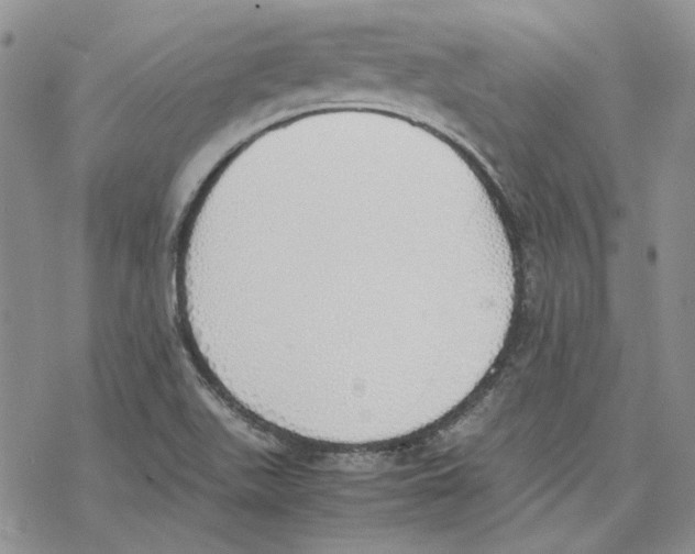 X0000077281511200611171549