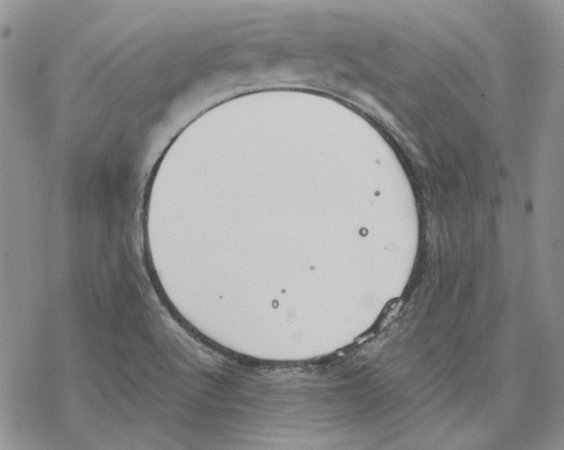 X0000077281512200611171549