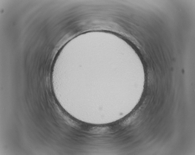 X0000077281513200611171549