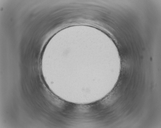 X0000077281514200611171549