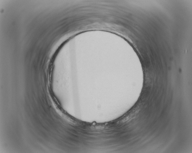 X0000077281515200611171549