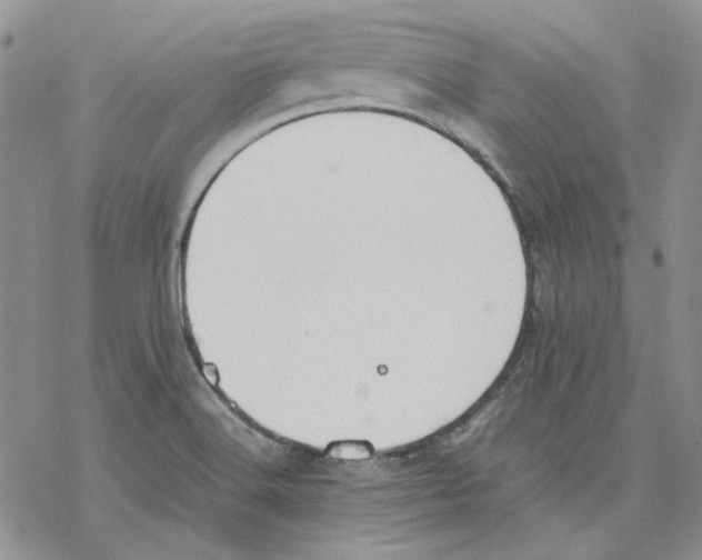 X0000077281516200611171549