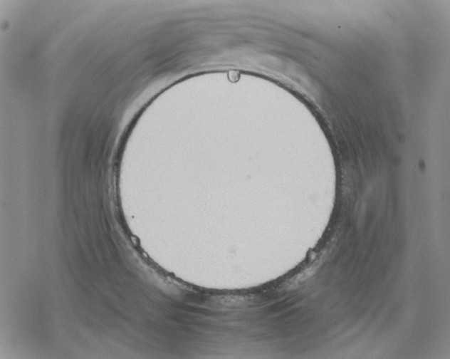 X0000077281517200611171549