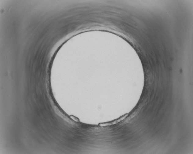 X0000077281518200611171549