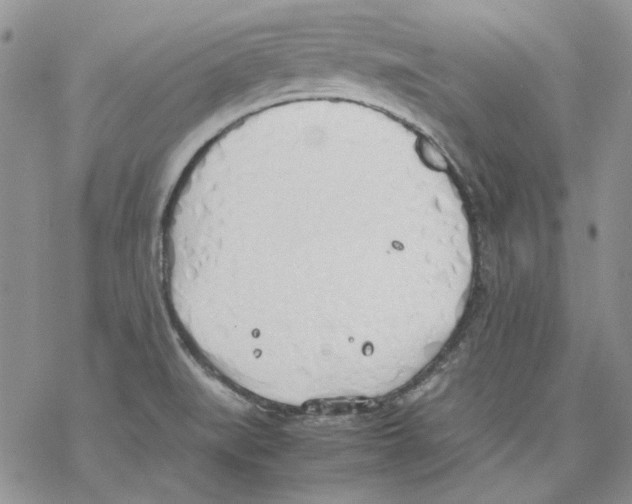 X0000077281519200611171549