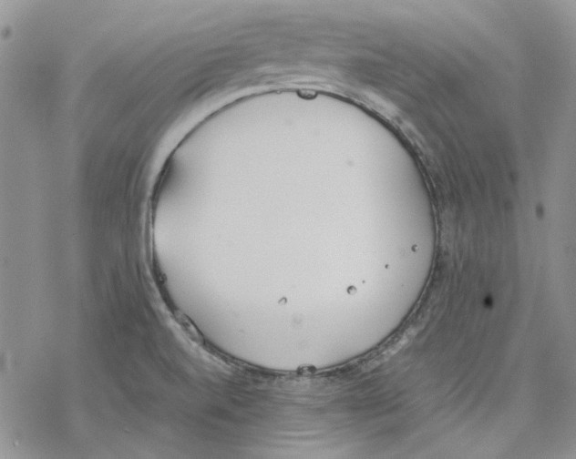 X0000077281520200611171549